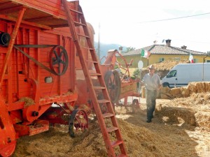 treb Tornimparte (16)